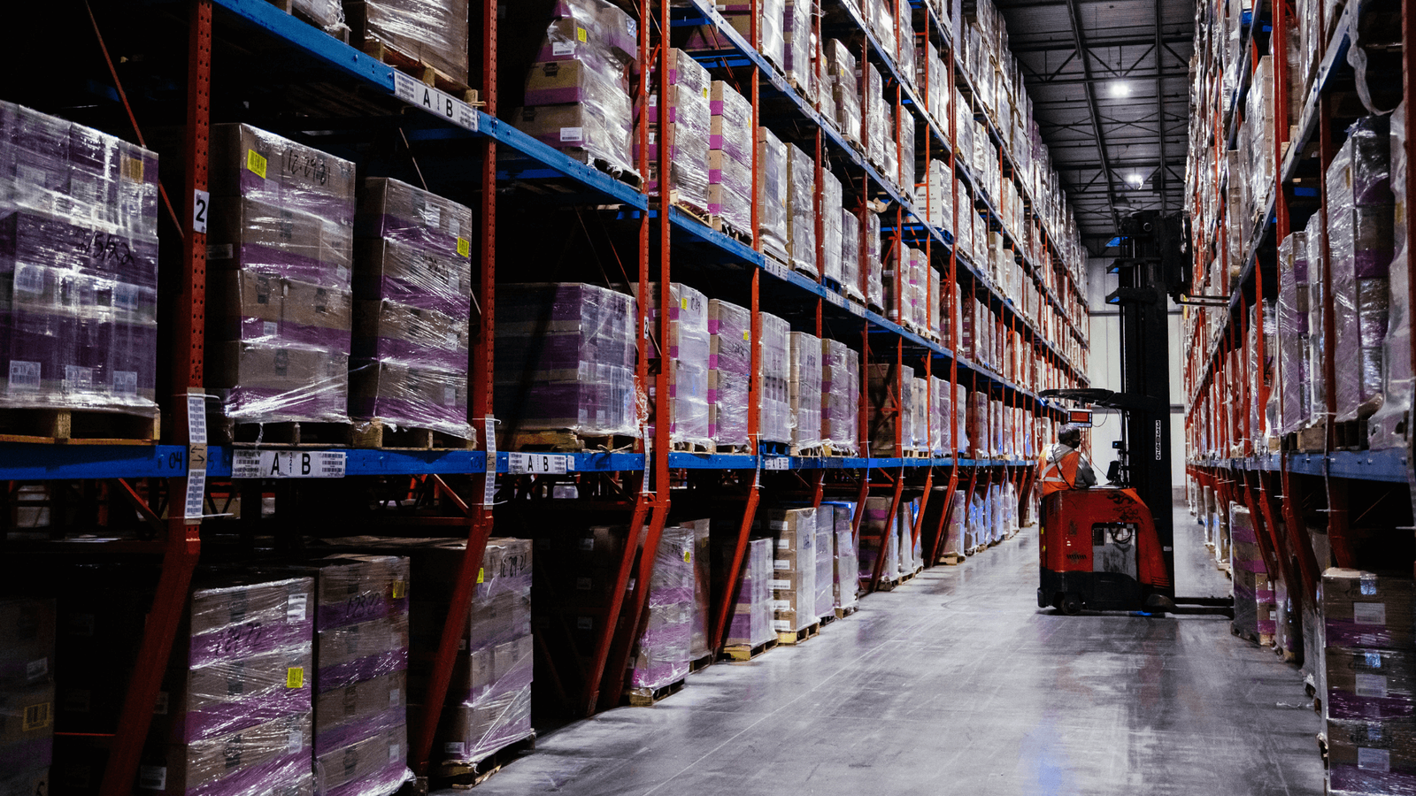 High-bay warehouse pallet storage illustrating tall racking height tiers